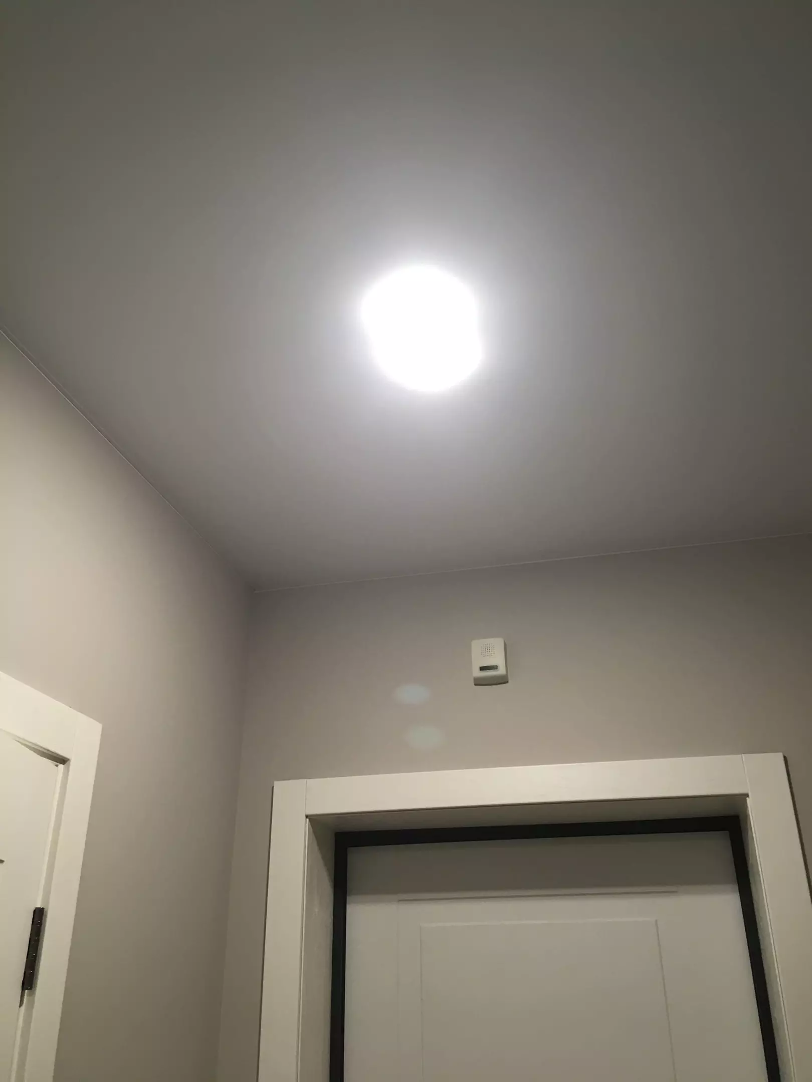 Матовый натяжной потолок в прихожую, фото 3