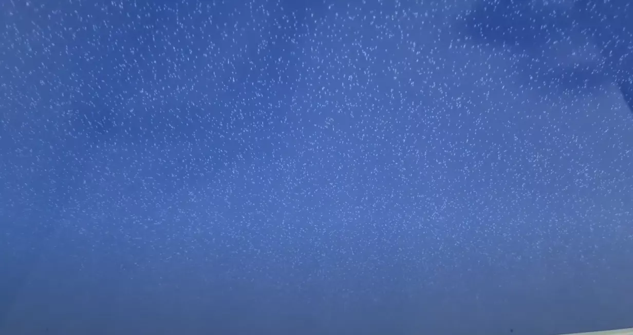 Томск, Береговая, 3, фото 3