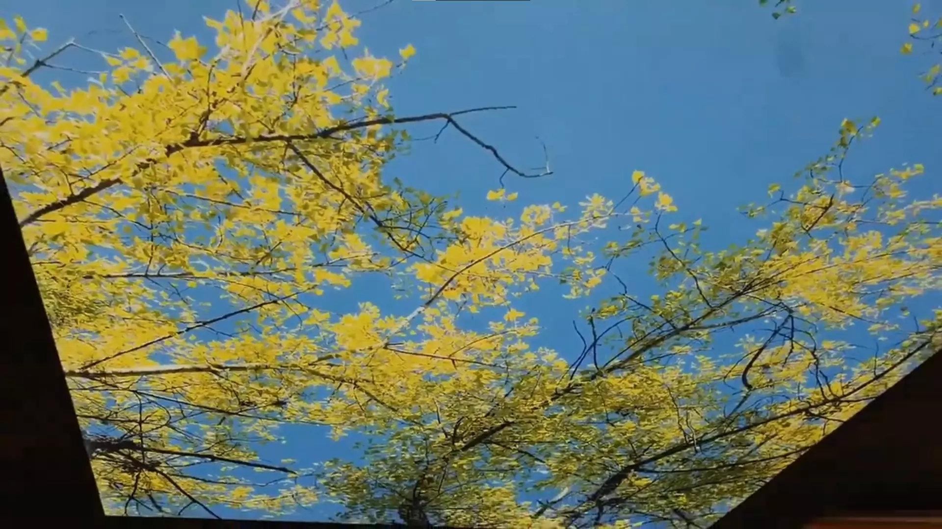 Подольск, проспект Юных Ленинцев, 70 ст1, фото 2